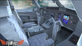 Weather Flight Sim Viewer screenshot 7