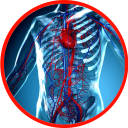 Anatomie - Physiologie
