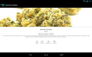 Weedmaps: Buy Local Weed screenshot 4