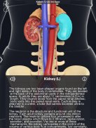 My Urinary System screenshot 9