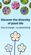 Flora Incognita screenshot 13