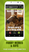 Memedroid - Memes App, Funny P screenshot 0