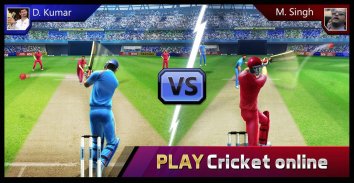 Smash Cricket screenshot 0