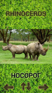 ZOO sounds quiz screenshot 2