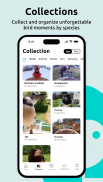 Birdfy screenshot 1