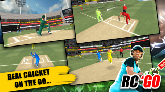 Real Cricket™ GO screenshot 5