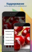 Обои и картинки от Nicefon. 200 000 обоев. screenshot 4