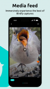 Birdfy screenshot 0