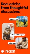 Reddit screenshot 5