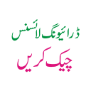 DLIMS Punjab